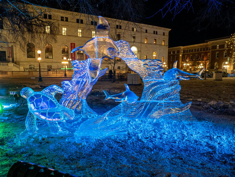 Avance del Carnaval de Invierno de San Pablo 2026